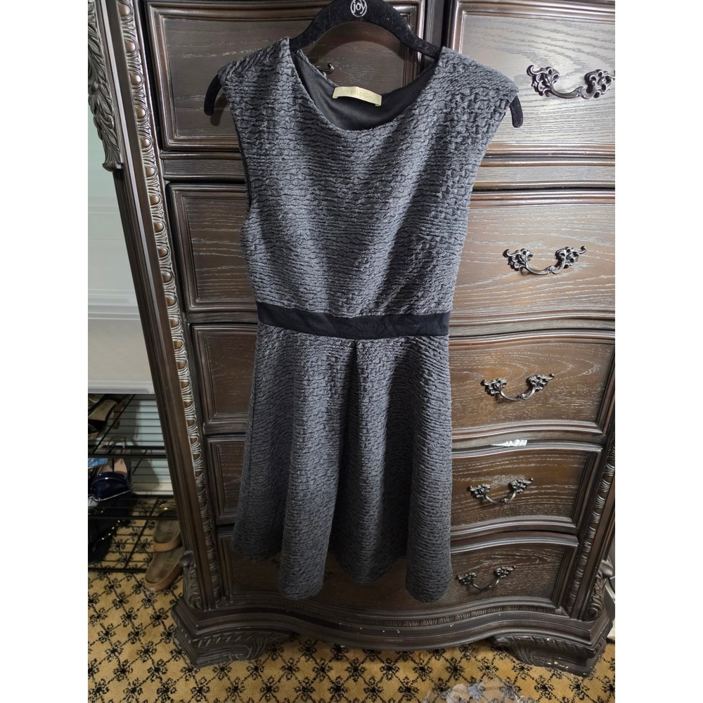 Everleigh Charcoal Gray Textured Fit and Flare Sleeveless Dress Black Waistband